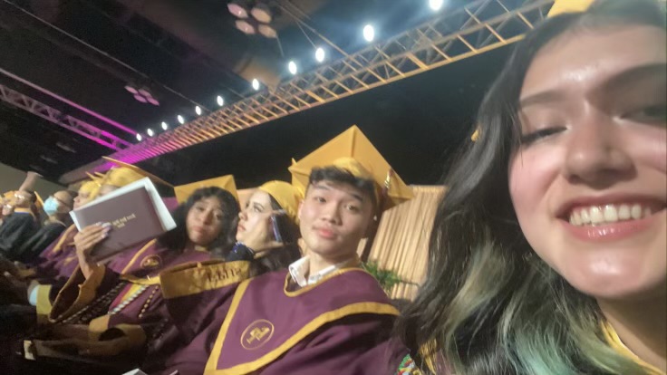 Mock gallery image: trees disappearing in mist